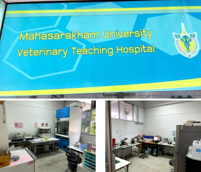 Mahasarakham Veterinary College