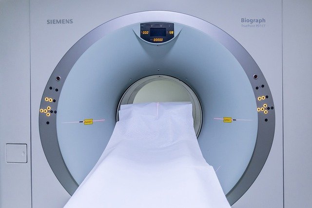 Why do pets need MRI