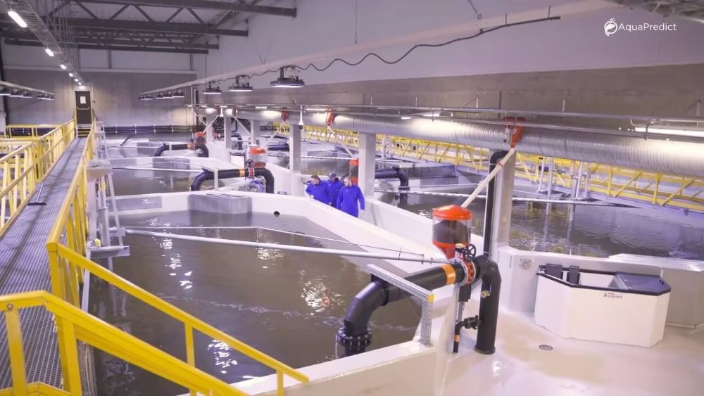 Norwegian fish farming factory pond