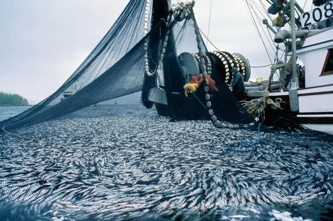 Norwegian fish farm