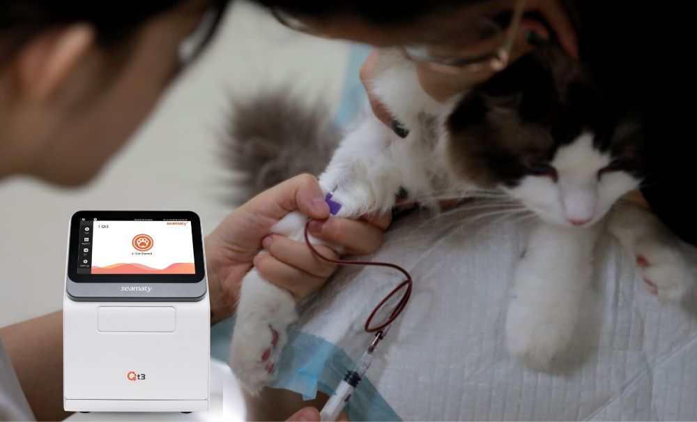 Why Your Vet Clinic Needs a Veterinary Blood Chemistry Analyzer